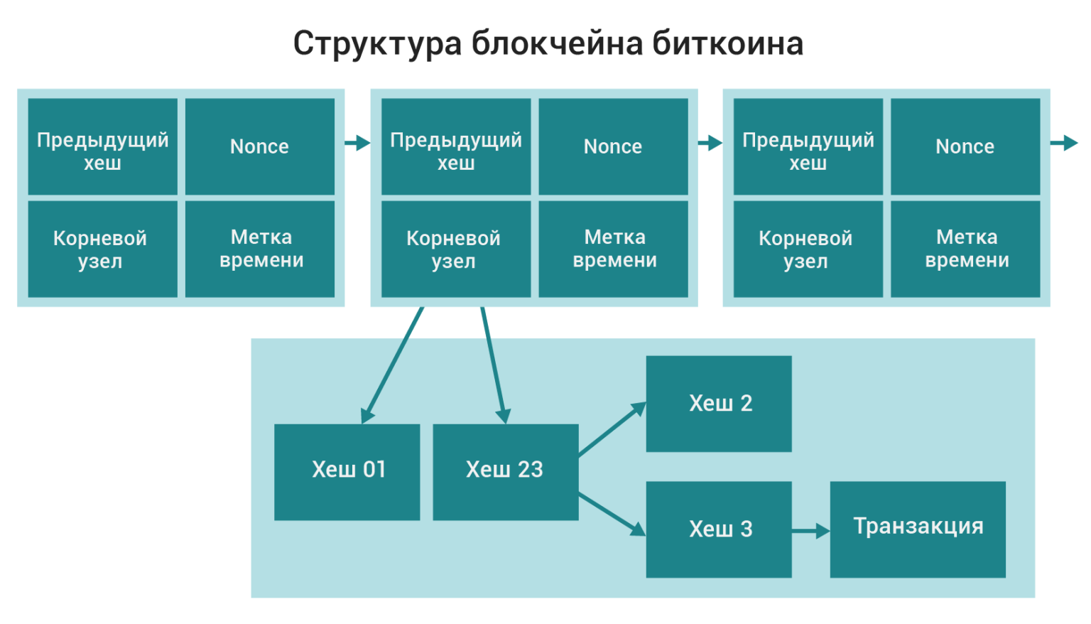 Данные транзакций являются. Структура блока в блокчейне. Структура блокчейн. Блокчейн схема блоков. Структура блока блокчейн.